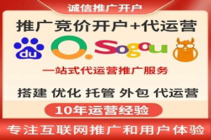 百度推广费用投入与品牌知名度提升的案例分析